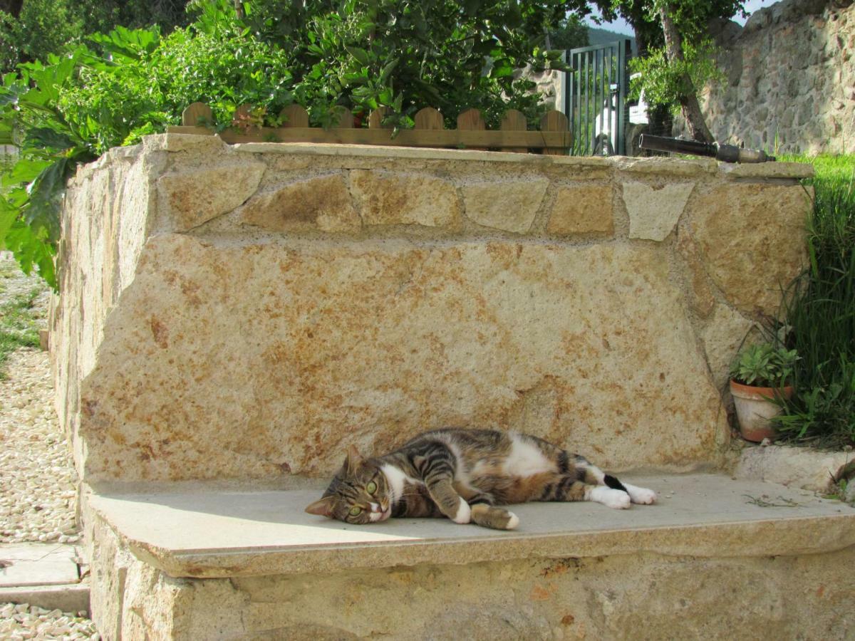 I Grilli B&B Baone Exterior foto