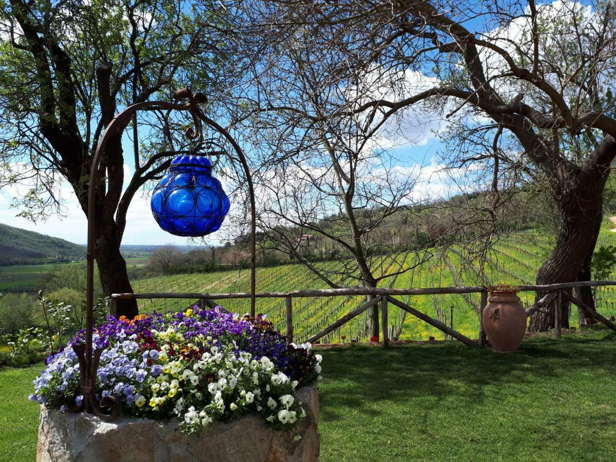 I Grilli B&B Baone Exterior foto
